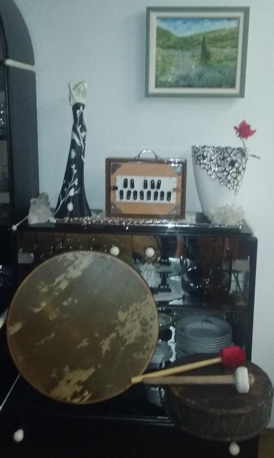 Sound Apartma Eva Apartment Radovljica Bagian luar foto