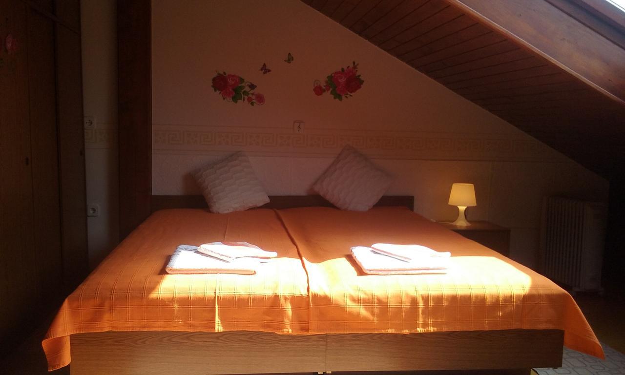 Sound Apartma Eva Apartment Radovljica Bagian luar foto