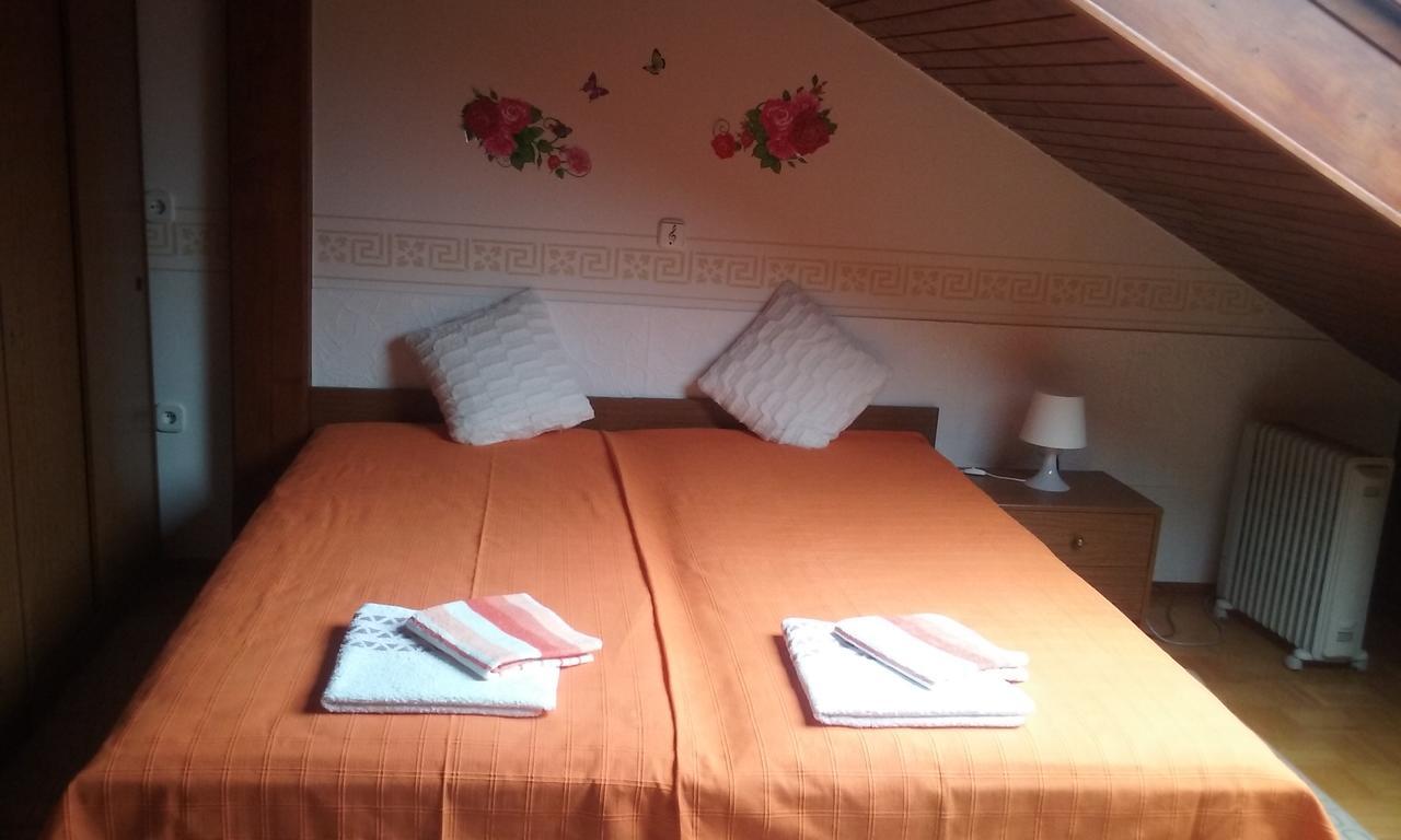 Sound Apartma Eva Apartment Radovljica Bagian luar foto